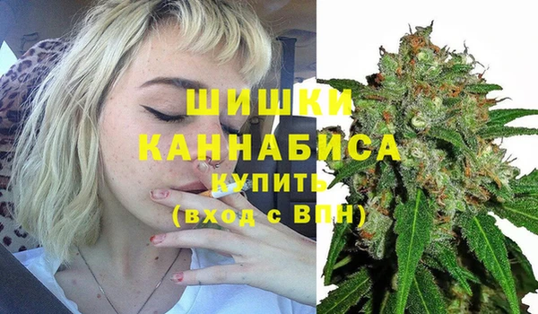 амф Мегион