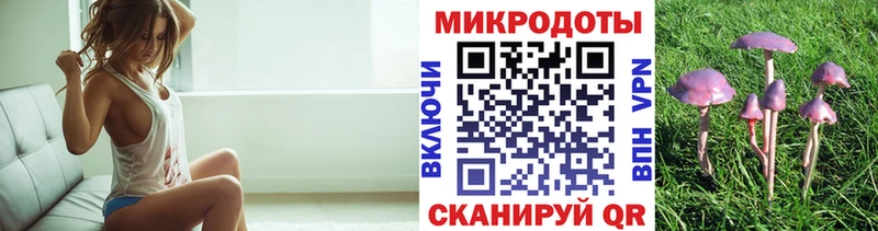 Псилоцибиновые грибы мицелий  hydra tor  Ачинск 
